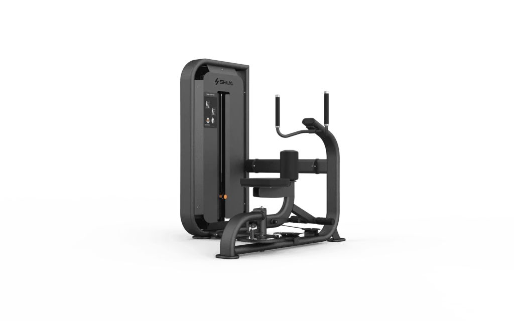 Torso Rotation Extension Torso Rotation | Shua Fitness NZ